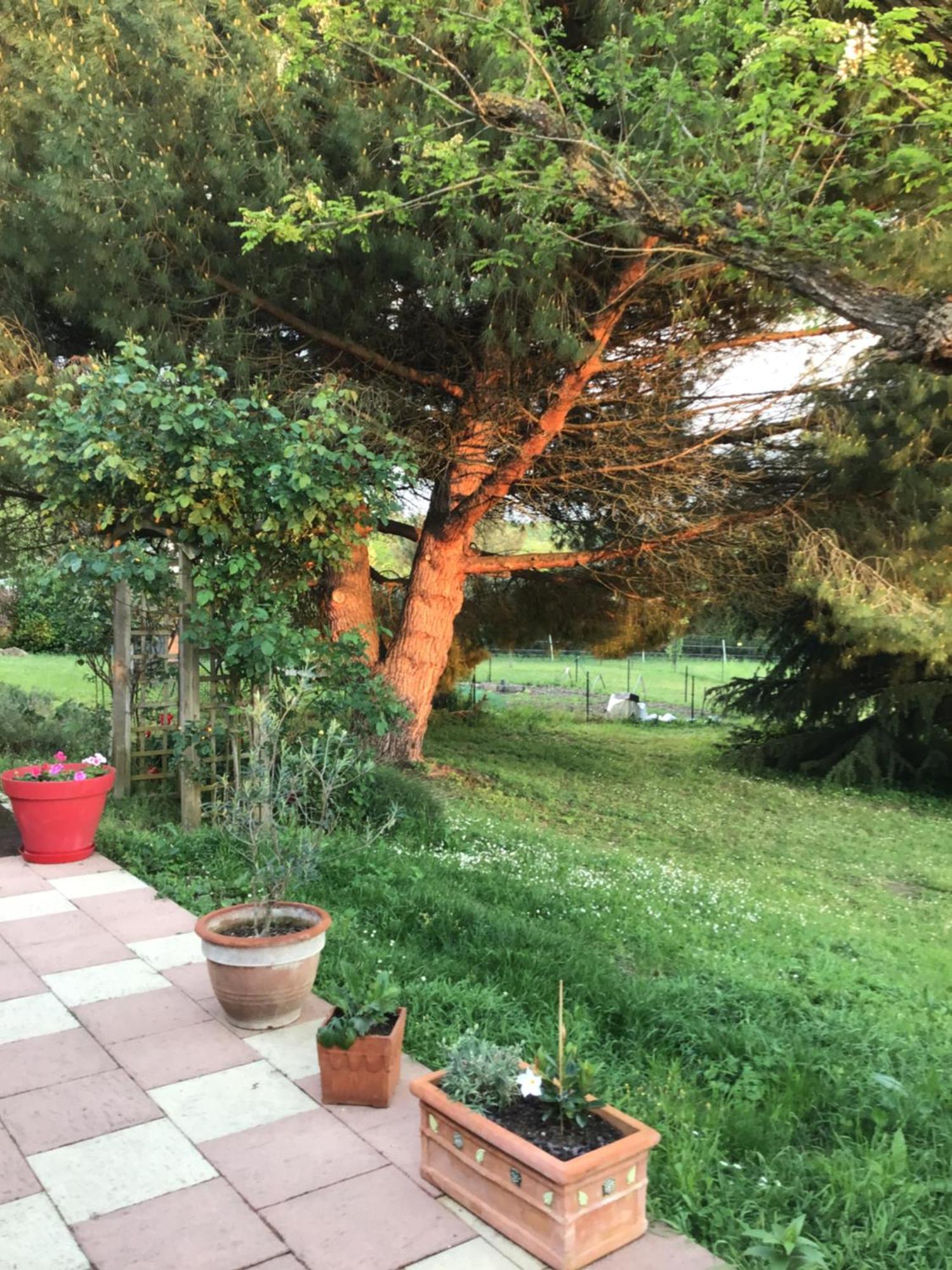 Des Roux Et Des Pious Suite De 35 A 60 M2 Et 3 Chambres Pour Groupe De 2 A 6 Personnes Civray-de-Touraine Bagian luar foto